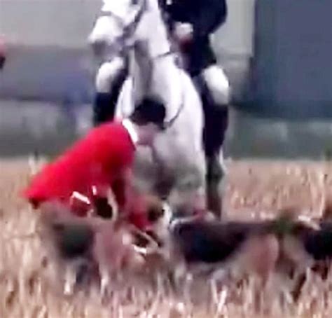 warwickshire police investigate atherstone hunt for using hounds to hunt and kill fox after