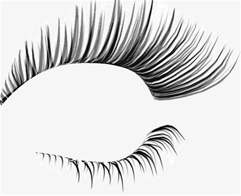 Fake Eyelashes Clipart 10 Free Cliparts Download Images On Clipground