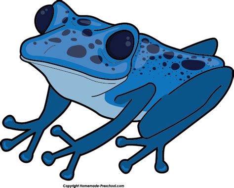 Blue Poison Dart Frog Clipart Download Blue Poison Dart Frog Clipart