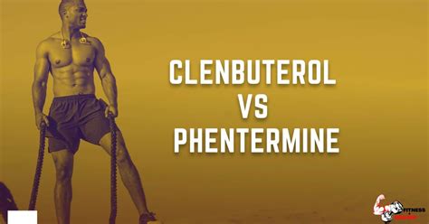 clenbuterol vs phentermine which is the best fat burner fitness and brawn