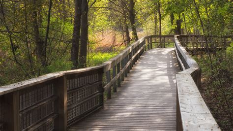 Free Images Forest Marsh Board Wood Trail Bridge Walkway Walk
