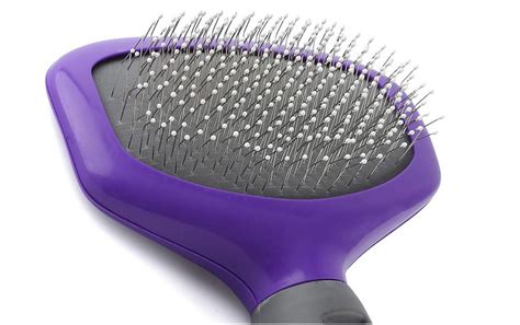 69 Best Of Best Brushes For Curly Hair Dogs Insectza