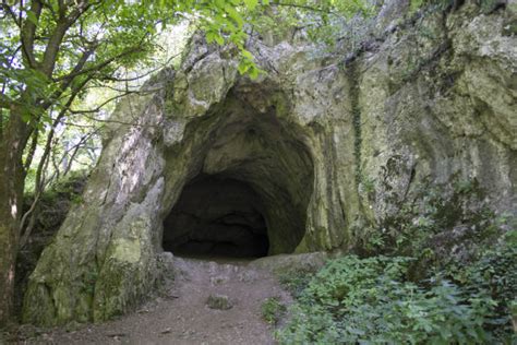 260 Cave Entrance In The Woods Stock Photos Pictures And Royalty Free
