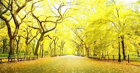 Ultra Hd 3d Nature Wallpaper Hd 1080p Free Download ... If you have your own one, just send us the image and we will show.