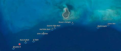 Turks Caicos Scuba Diving Sites Turks And Caicos Reef Fund