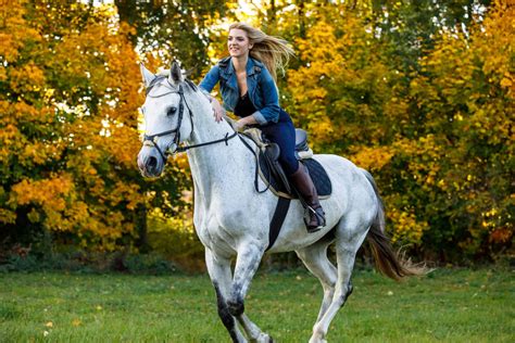 5 Ways To Build Trust With Your Horse