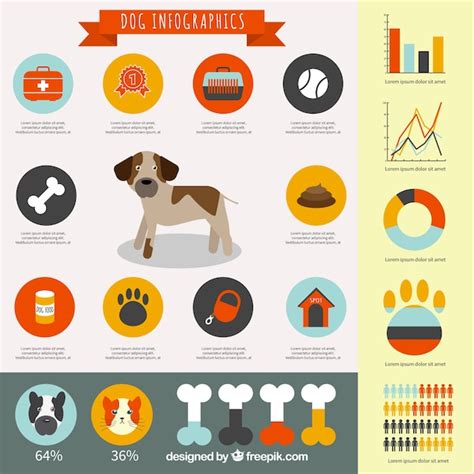 Free Vector Dog Infographic