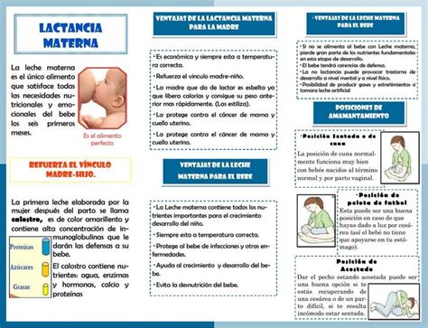 triptico lactancia materna la leche materna especialidades medicas lactancia materna