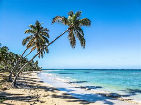 10 Lugares De Playa En República Dominicana Mis Viajes Mi Destino