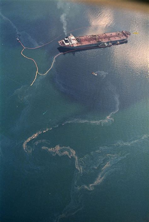 Haunting Photos From The Exxon Valdez Oil Spill Catastrophe Gizmodo