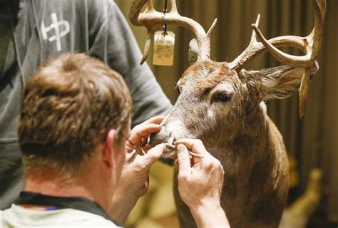 Convention Is The Stuff Of Taxidermists Dreams The Wichita Eagle The