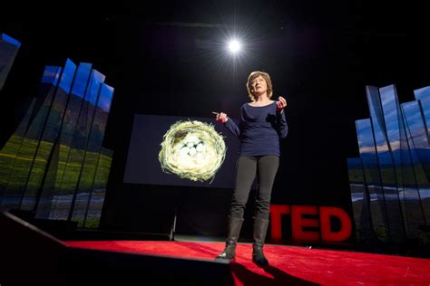 The Fragile Beauty Of Birds Nests Sharon Beals At Ted2012 Ted Blog
