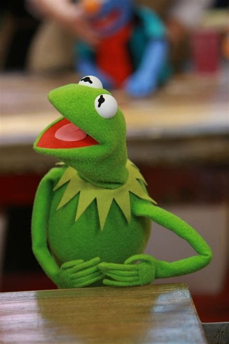 Kermit The Frog Fictional Characters Wiki