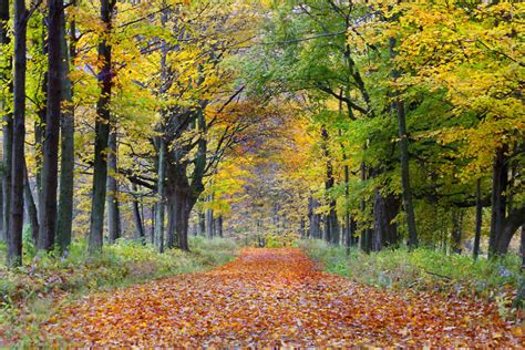 19 Hidden And Relaxing Massachusetts Nature Spots