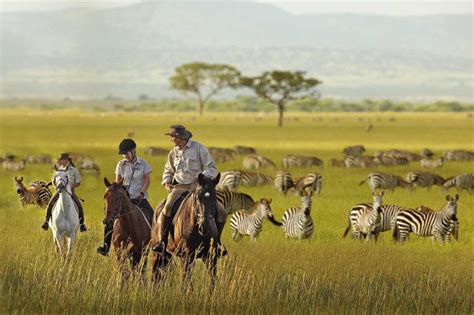 Serengeti National Park Wildlife Adventure Most Beautiful Places In
