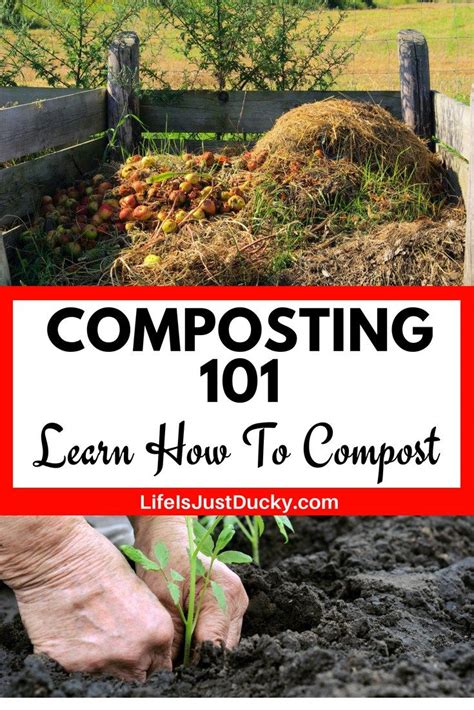 Composting 101 What Is Composting How Anyone Can Start Composting And