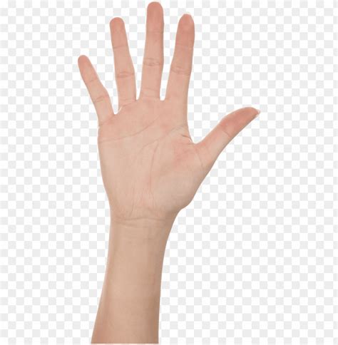 Free Download HD PNG Transparent Background PNG Image Of Five Finger Hand Image ID