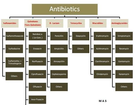 Antibiotics Classification Pharmacology Nursing Pharmacology Nurse