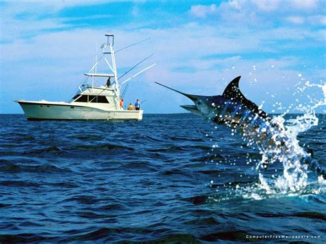 Offshore Fishing Wallpaper Wallpapersafari