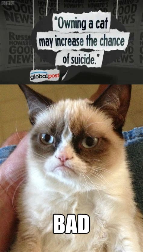 The No Grumpy Cat Reverse Memes Know Your Meme