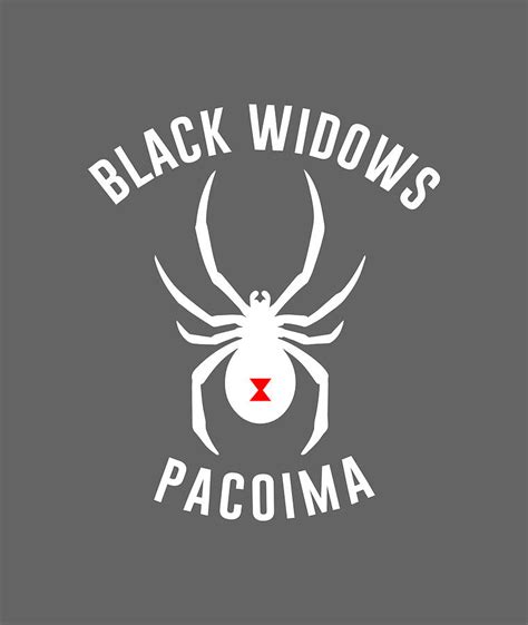 Black Widows Pacoima Retro Tumblr Painting By Ross Hill Fine Art America