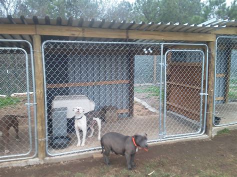 Dog Kennels For Kentucky Dogs Portable Dog Kennels Wooden Dog Kennels