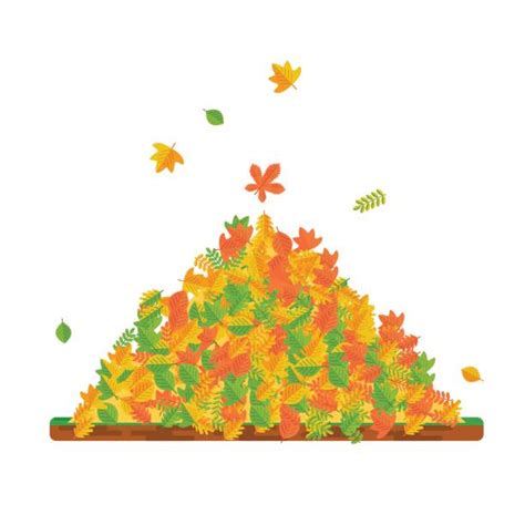 Royalty Free Raking Leaves Clip Art Vector Images And Illustrations Istock