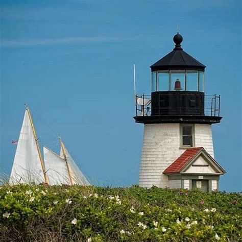 Everything Nantucket Sailboats Hedges And Lighthouse 📸 Photo By