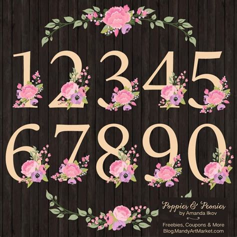 Premium Floral Numbers Clipart And Vectors Garden Party Flower Numbers