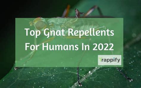 Best Gnat Repellent For Humans In 2022 Trappify