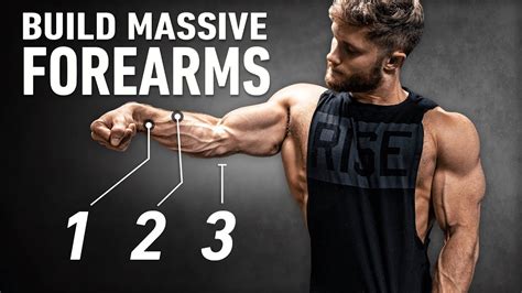 How To Build Huge Forearms Optimal Training Explained 5 Best