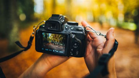 Tips And Courses For Photography Careerguide