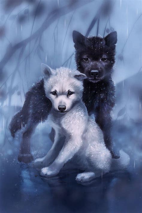It was distributed theatrically in japan by toho on 28 april 1990. Black Wolf Pup Wallpapers - Wallpaper Cave