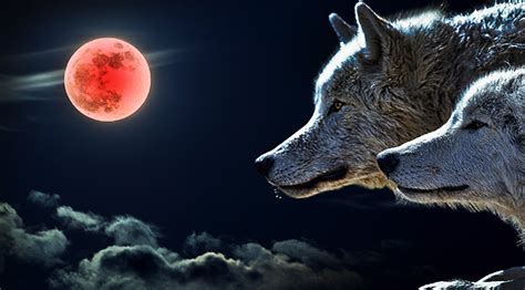 The Super Blood Wolf Moon What Is It And Where Can You Catch It
