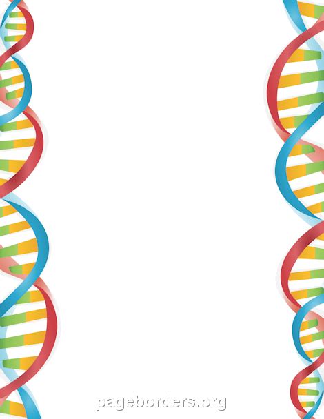 Dna Border Clip Art Page Border And Vector Graphics