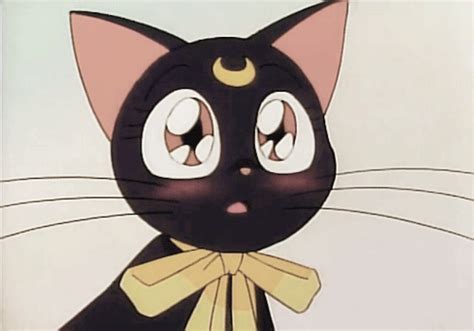 Pin By Ki On Bishoujo Senshi Sailor Moon Cat Silver Cat