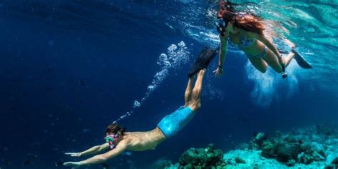 What Are The Best Snorkeling Locations In Islamorada Fl