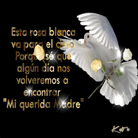 2a2aea955cf99ae1d93b99ca1d032752 500×500 Pixeles Frases Para