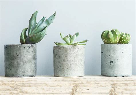 The cactus mod 1.16.5/1.12.2 adds new uses for cacti, such as the cactus dispenser which can be used for defense or mod farms, and the cactus chest, which can be used to store items. Vastu for home interiors: Remove these objects for better ...