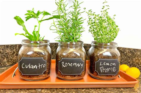 Diy Indoor Herb Garden Easy Fun Way To Grow Fresh Herbs Indoor