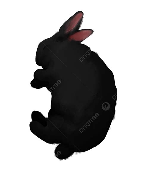 Black Rabbit Sleeping Watercolor Rabbit Sleeping Rabbit Black Rabbit
