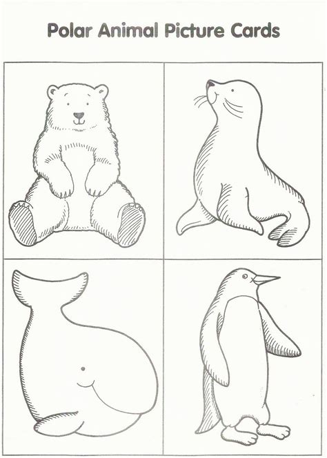 Download Or Print This Amazing Coloring Page Arctic Animals Coloring