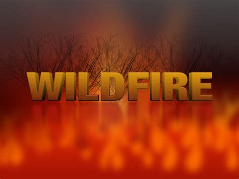 Fire Alert Lifted In Alabama Alabama News