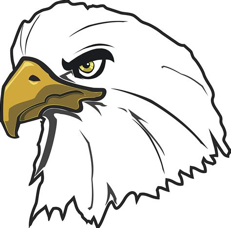 Draw the top of the head. American Eagle Drawing | Free download on ClipArtMag