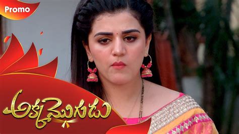 Akka Mogudu Preview 25th November 19 Gemini Tv Serial Telugu