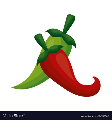 Chili Pepper Jalapeno Royalty Free Vector Image