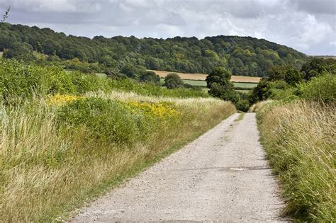 Country Lane Uk Stock Image C0218065 Science Photo Library