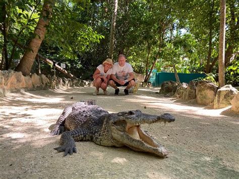 Croco Cun Zoo Puerto Morelos 2019 All You Need To Know Before You
