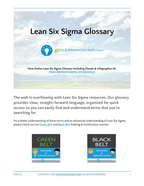 Pdf Lean Six Sigma Glossaryblack Belt Project Storyboard Project