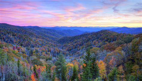 5 Great Ways To See Peak Foliage In The Smoky Mountains